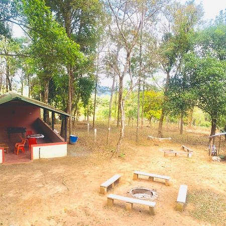 Shrenya Orchidz-Coorg Nature Stay Madikeri Esterno foto