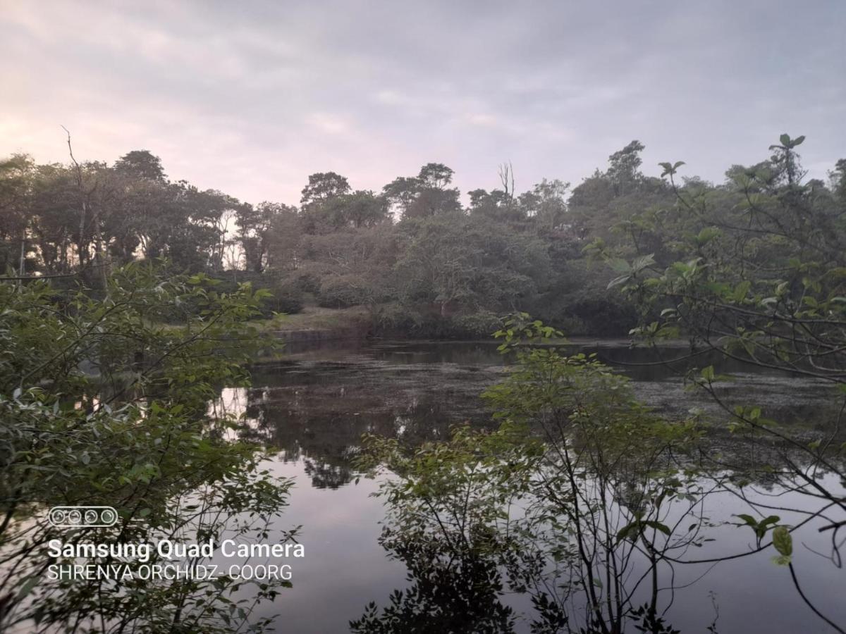 Shrenya Orchidz-Coorg Nature Stay Madikeri Esterno foto