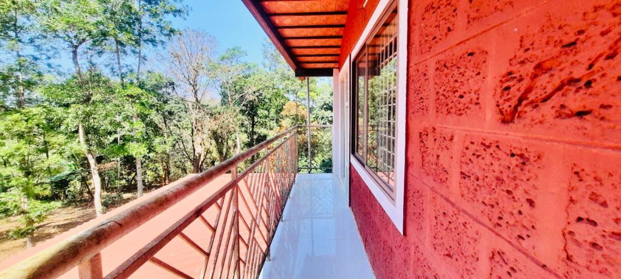 Shrenya Orchidz-Coorg Nature Stay Madikeri Esterno foto