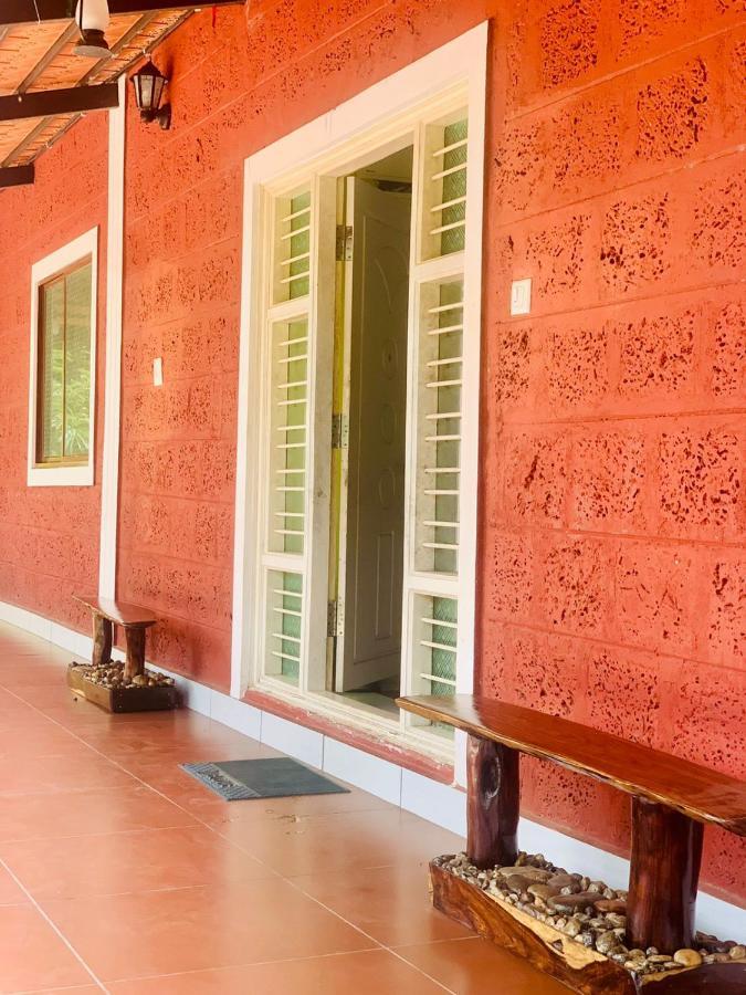 Shrenya Orchidz-Coorg Nature Stay Madikeri Esterno foto