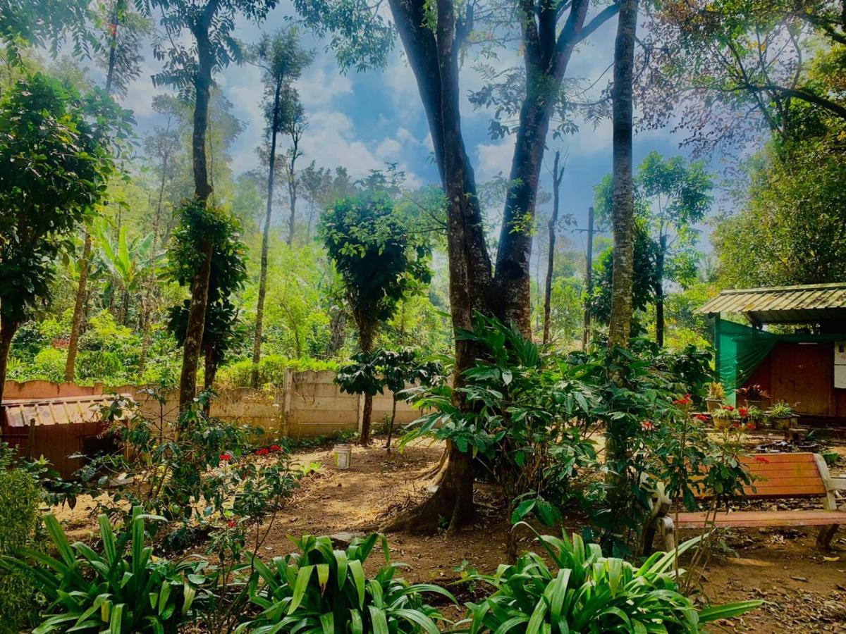 Shrenya Orchidz-Coorg Nature Stay Madikeri Esterno foto