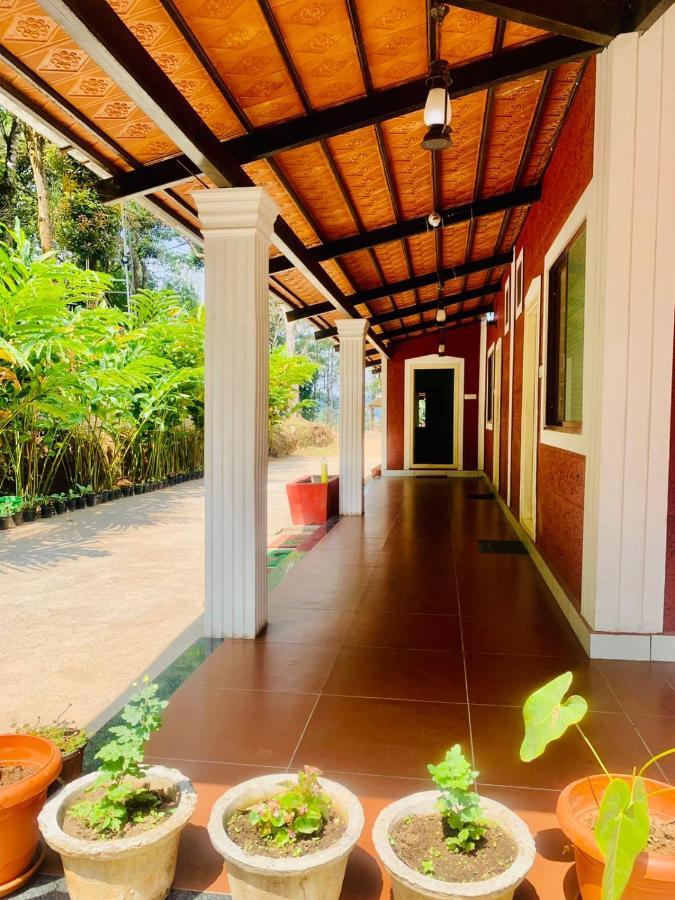 Shrenya Orchidz-Coorg Nature Stay Madikeri Esterno foto