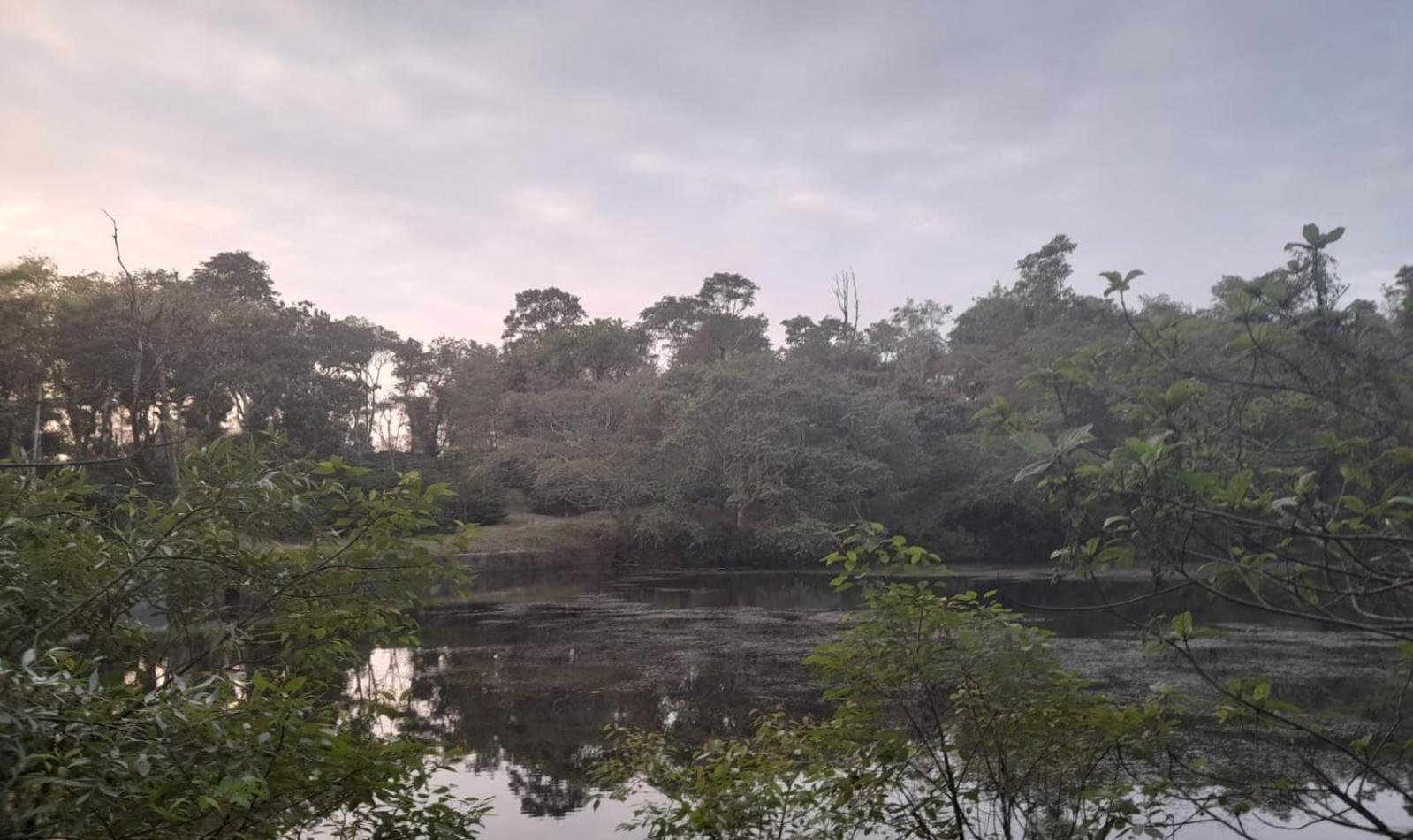 Shrenya Orchidz-Coorg Nature Stay Madikeri Esterno foto
