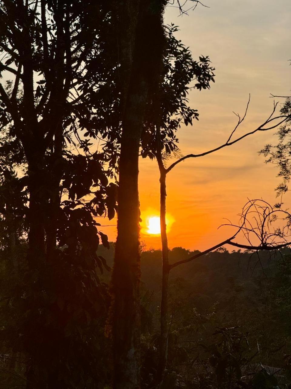 Shrenya Orchidz-Coorg Nature Stay Madikeri Esterno foto