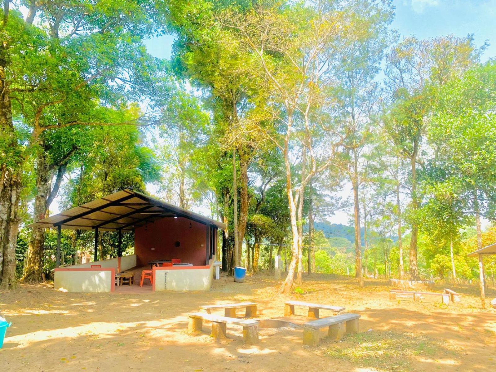 Shrenya Orchidz-Coorg Nature Stay Madikeri Esterno foto